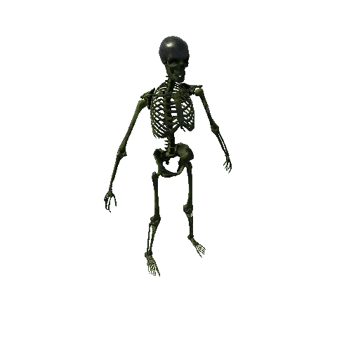 SK_Skeleton_BlackMoss Variant